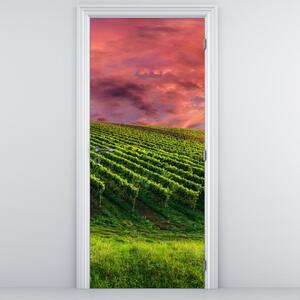 Fototapeta na dvere - Vinohrad s farebným nebom (95x205cm)