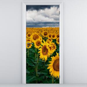 Fototapeta na dvere - Slnečnicové pole (95x205cm)