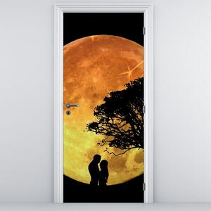 Fototapeta na dvere - Tiene v mesačnom svetle (95x205cm)