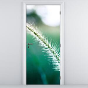 Fototapeta na dvere - Steblo trávy (95x205cm)