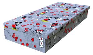 Váľanda Mickey červená 200x80 cm molitanová