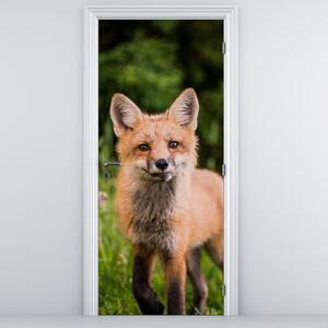 Fototapeta na dvere - Líška (95x205cm)