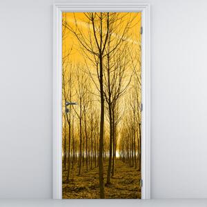 Fototapeta na dvere - Plantáž stromov (95x205cm)