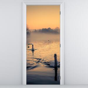 Fototapeta na dvere - Labute na vode v hmle (95x205cm)