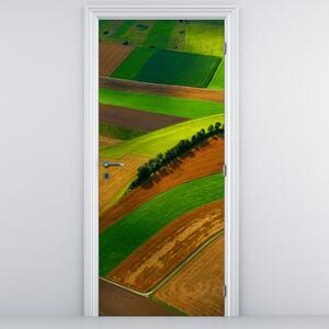 Fototapeta na dvere - Pole (95x205cm)