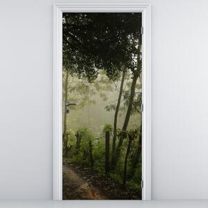 Fototapeta na dvere - Ranná hmla (95x205cm)
