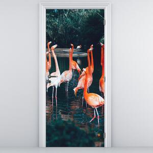 Fototapeta na dvere - Stáda plameniakov (95x205cm)