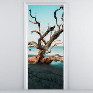 Fototapeta na dvere - Vyplavené na pláži (95x205cm)