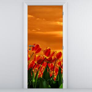 Fototapeta na dvere - Rozkvitnutý lán s tulipánmi (95x205cm)