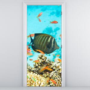 Fototapeta na dvere - Podmorský svet (95x205cm)