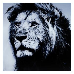 KARE DESIGN Obraz na skle Lion King Standing 120×160 cm 120 × 160 × 4 cm