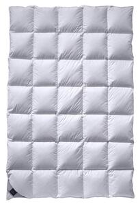 CELOROČNÁ PRIKRÝVKA, 135/200 cm, Billerbeck - Prikrývky & vankúše