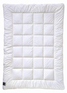 ZIMNÁ PRIKRÝVKA, 135/200 cm, polyester Billerbeck - Prikrývky & vankúše