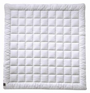 CELOROČNÁ PRIKRÝVKA, 200/200 cm, polyester Billerbeck - Prikrývky & vankúše
