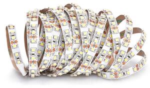ECOLIGHT LED pásik - SMD 2835 - 5m - 600/5m - 9,6 W/m - IP20 - teplá biela