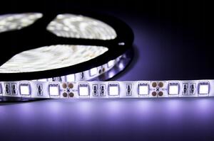 ECOLIGHT LED pásik - SMD 5050 - 5m - 60LED/m - 14,4W/m - studená biela
