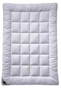 CELOROČNÁ PRIKRÝVKA, 200/200 cm, polyester Billerbeck - Prikrývky & vankúše