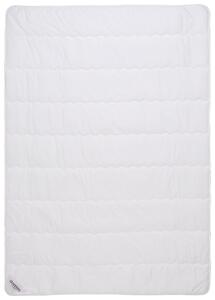 LETNÁ PRIKRÝVKA, 140/200 cm, polyester, rúno, duté vlákno Sleeptex - Prikrývky & vankúše