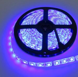 ECOLIGHT LED pásik - SMD 2835 - 5m - 60LED/m - 4,8W/m - modrý - IP20 - s konektorom