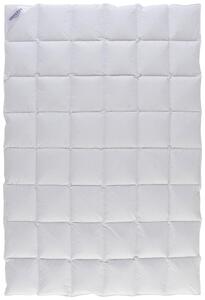 CELOROČNÁ PRIKRÝVKA, 140/200 cm, páperie Sleeptex - Prikrývky & vankúše