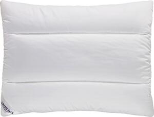 VANKÚŠ, 70/90 cm Sleeptex - Prikrývky & vankúše