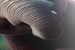 Obraz slon so slúchadlami