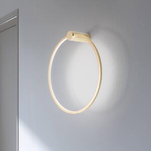 LED nástenné svetlo Saturno, zlaté, Ø 50 cm, kov, 4 000 K