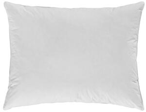 VANKÚŠ, 70/90 cm Sleeptex - Prikrývky & vankúše