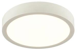 STROPNÉ LED SVIETIDLO, 22,5/3,6 cm Boxxx - Interiérové svietidlá