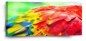 Sablio Obraz Farebné perie 2 - 110x50 cm