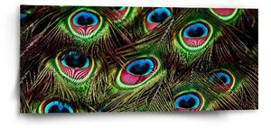 Sablio Obraz Pávie perie - 110x50 cm
