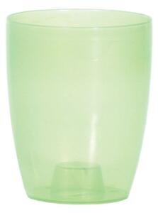 Prosperplast Kvetináč Coubi Orchidea zelený transparentný I mat, variant 13,2 cm