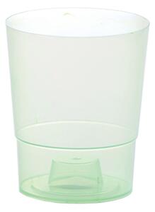 Prosperplast Kvetináč Coubi Orchidea zelený transparentný