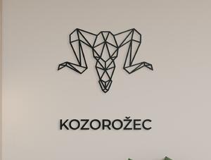 Drevko Nálepka na stenu znamenie Kozorožec
