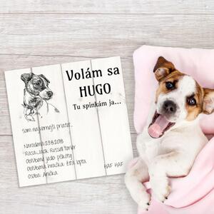 INSPIO - výroba darčekov a dekorácií - Obraz na stenu - Meno pre psa na tabuľke s fotkou