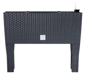 Prosperplast Truhlík RATAN CASE HIGH antracit, variant 60 cm