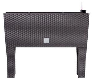 Prosperplast Truhlík RATAN CASE HIGH tmavohnedý, variant 80 cm
