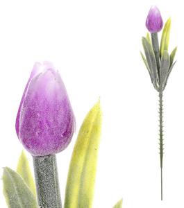 TULIPÁN 19 cm - Kvety & kvetináče