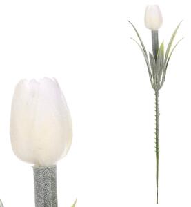 TULIPÁN 19 cm - Kvety & kvetináče