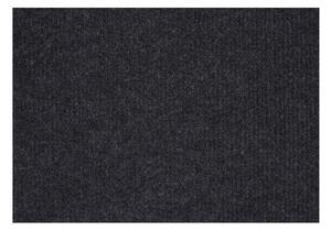 Aladin Holland carpets Rohožka Polo - 45x75 cm