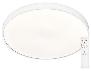 STROPNÉ LED SVIETIDLO, 60/60/5 cm XXXL - Interiérové svietidlá
