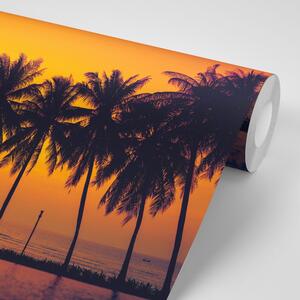 Samolepiaca tapeta západ slnka nad palmami