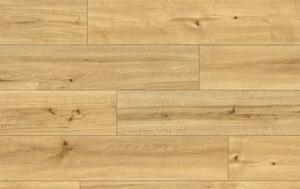 Classen Pro Nature 62536 MOCOA