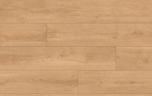 Classen Pro Nature 64636 Dub KYSUCA