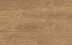 Classen Pro Nature 64637 Dub SAJO