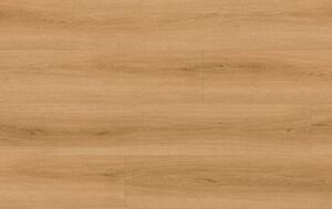 Check Comfort SPC 2509 DUB TORDERA