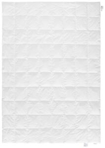 LETNÁ PRIKRÝVKA, 140/200 cm, páperie Sleeptex - Prikrývky & vankúše