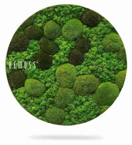 Machový obraz kruh BEMOSS® ORTHO MONETO - Priemer 40 cm