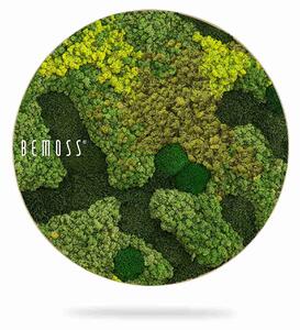 Machový obraz kruh BEMOSS® ORTHO MEDIUM - Priemer 40 cm