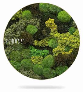 Machový obraz kruh BEMOSS® ORTHO TELDE - Priemer 40 cm